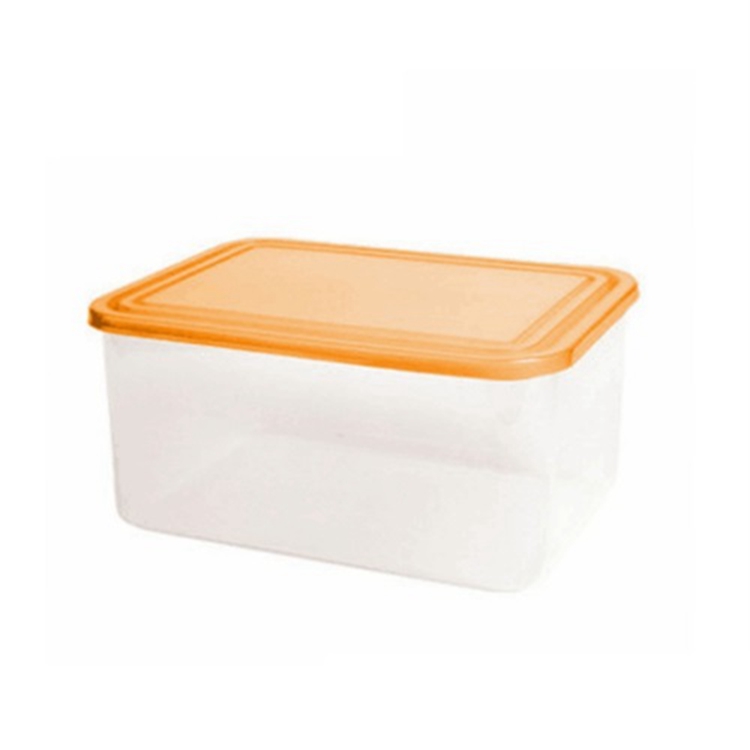 food lunch box mould