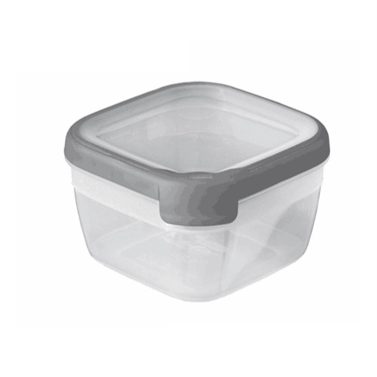 food lunch box mould